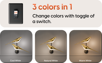 Twin Sparrow Wall Light